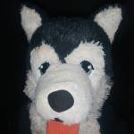 User_null Profile Picture