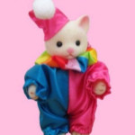 Jupiter Cubby Profile Picture