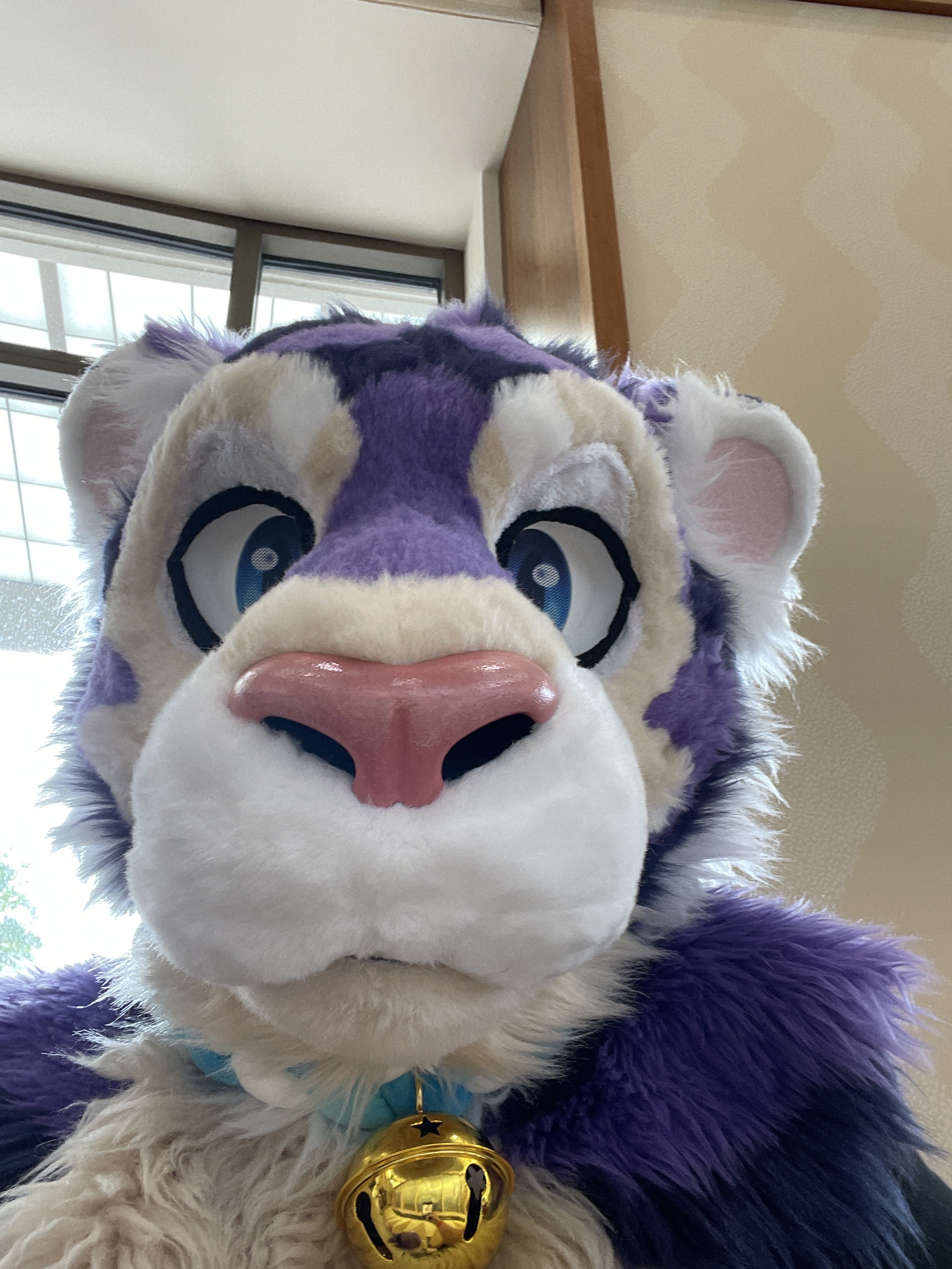 Nibs Profile Picture
