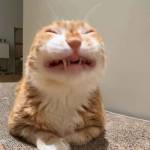 smol Profile Picture